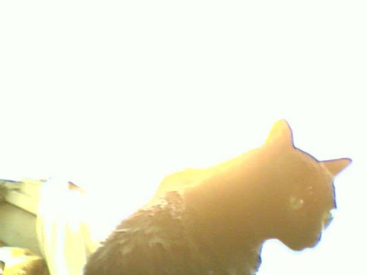 album foto steevy 01_32.jpg