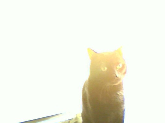 album foto steevy 01_42.jpg