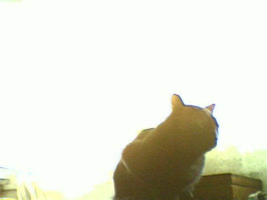 album foto steevy 01_44.jpg