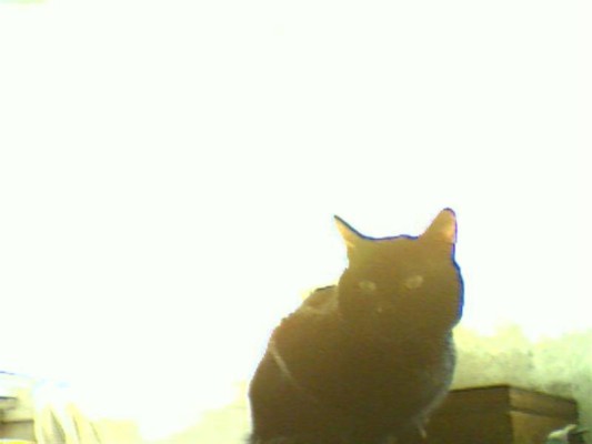album foto steevy 01_45.jpg