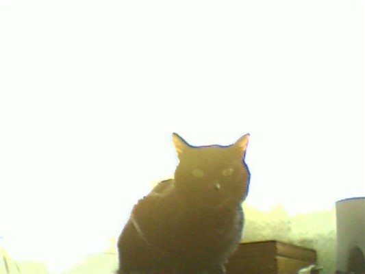 album foto steevy 01_47.jpg