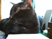 album foto steevy 01_20.jpg