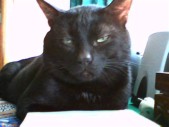 album foto steevy 01_21.jpg