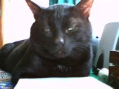 album foto steevy 01_22.jpg