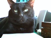 album foto steevy 01_23.jpg