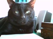 album foto steevy 01_24.jpg