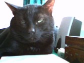 album foto steevy 01_26.jpg