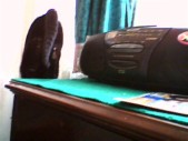 album foto steevy 01_27.jpg