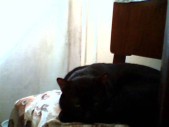 album foto steevy 01_28.jpg