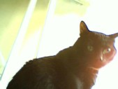 album foto steevy 01_34.jpg