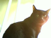 album foto steevy 01_36.jpg