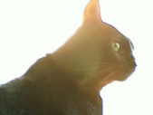 album foto steevy 01_38.jpg