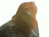 album foto steevy 01_39.jpg