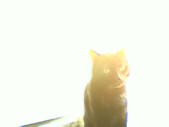 album foto steevy 01_42.jpg