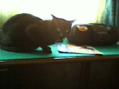 album foto steevy 01_43.jpg