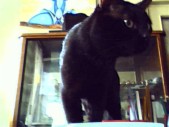 album foto steevy 01_49.jpg