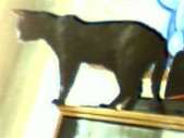 album foto steevy 01_51.jpg