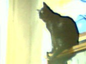 album foto steevy 01_54.jpg
